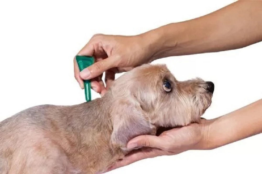 1762217468295864.png 图片3.png